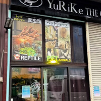 画像297