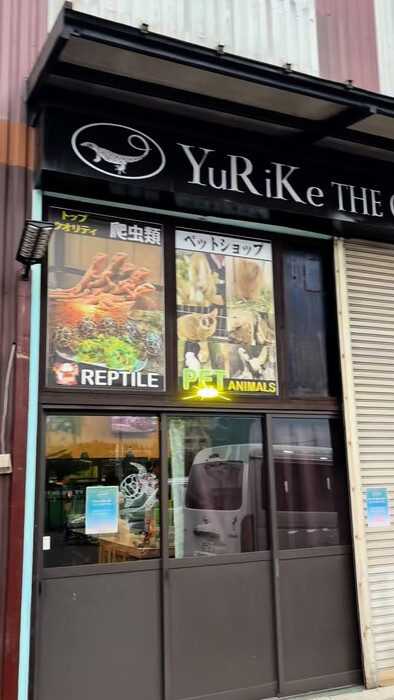 画像297